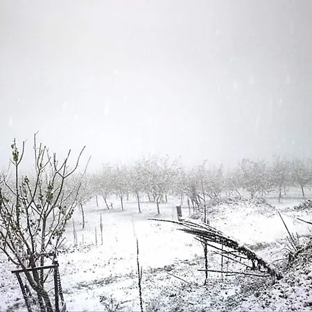 La Cuadra C' Jesus Апартаменты Castanedo (Valdes, Asturias)