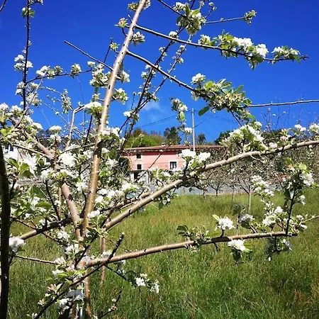 Апартаменты La Cuadra C' Jesus Castanedo (Valdes, Asturias)